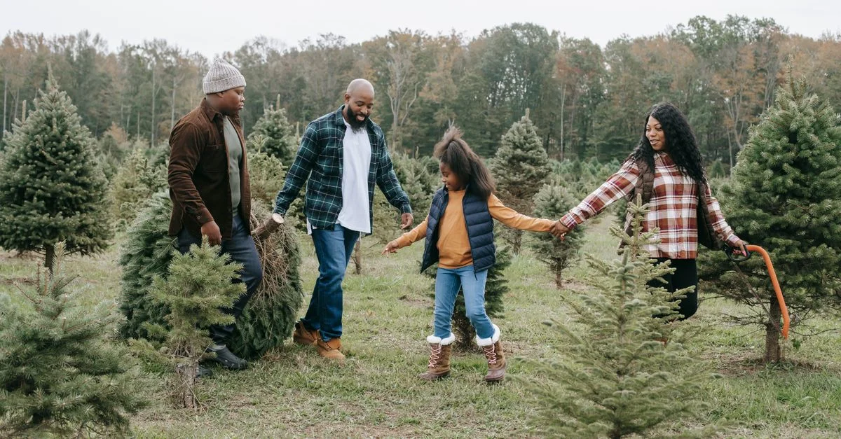 Une famille joyeuse choisissant un sapin de Noël dans une ferme rurale.
