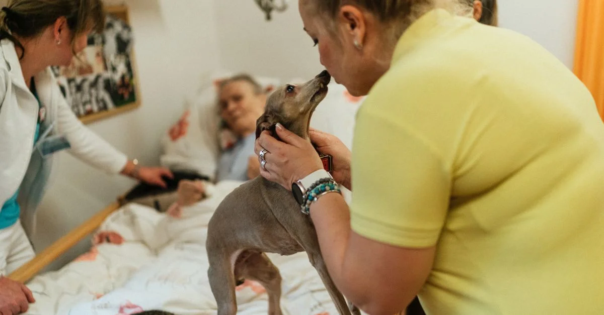 Le personnel attentionné et les seniors partagent des moments de joie avec des animaux de thérapie dans une maison de retraite.