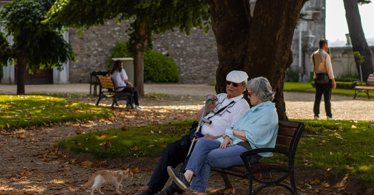 Couple de personnes âgées assis sous un arbre, profitant d'un après-midi paisible dans le parc.