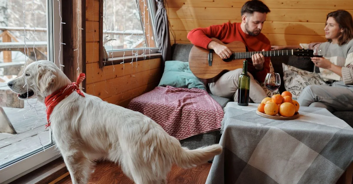 Couple profitant d'un week-end d'hiver dans un chalet confortable avec un chien et de la musique de guitare.